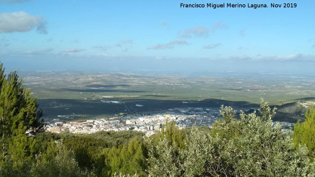 Cerro Miguelico - Cerro Miguelico. Vistas a Torredelcampo