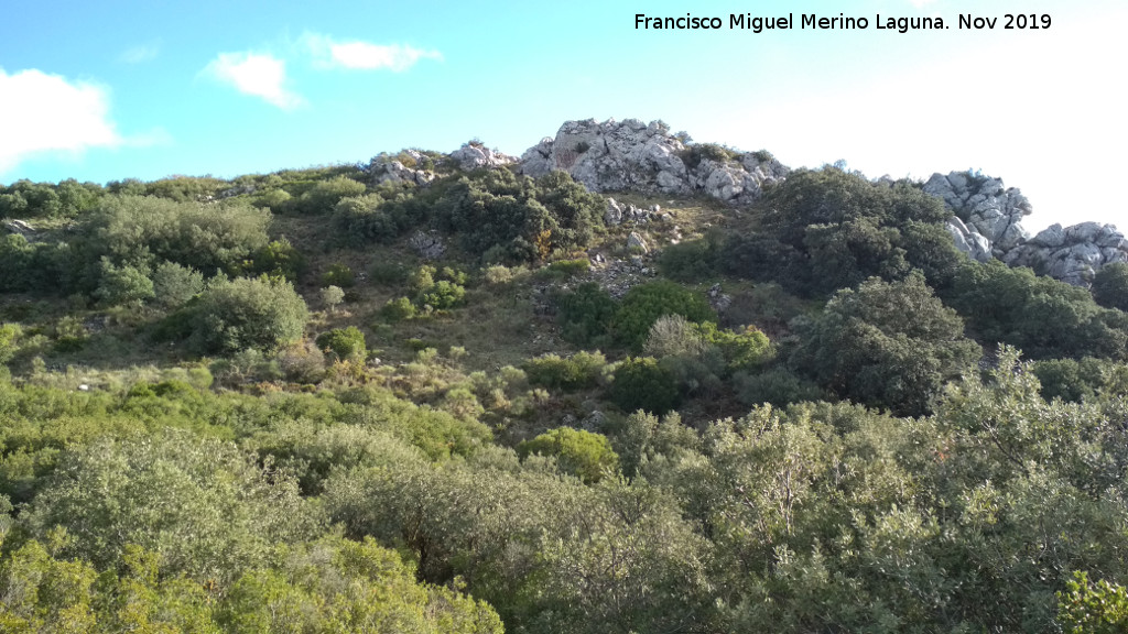 Cerro Miguelico - Cerro Miguelico. Cumbre