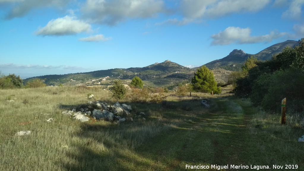 Cerro Miguelico - Cerro Miguelico. Llanos altos