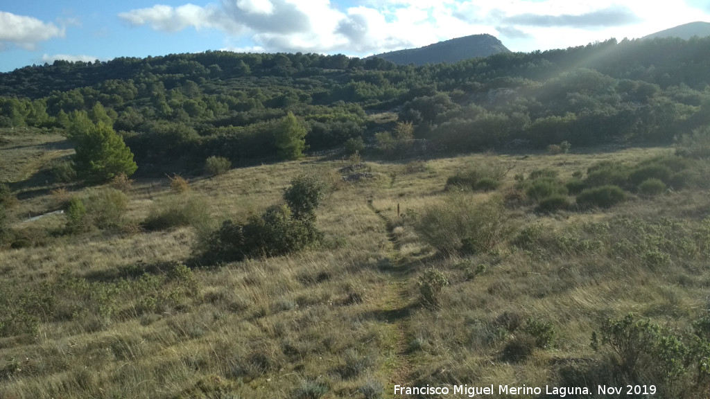 Cerro Miguelico - Cerro Miguelico. Llanos altos