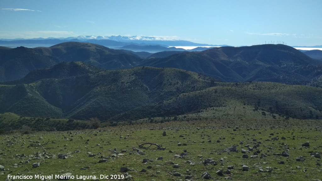 Cerro Los Morales - Cerro Los Morales. Vistas hacia Sierra Nevada
