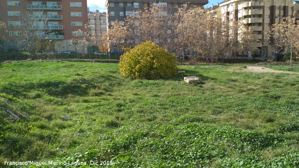 Marroqu�es Bajos - Marroqu�es Bajos. Centro del yacimiento