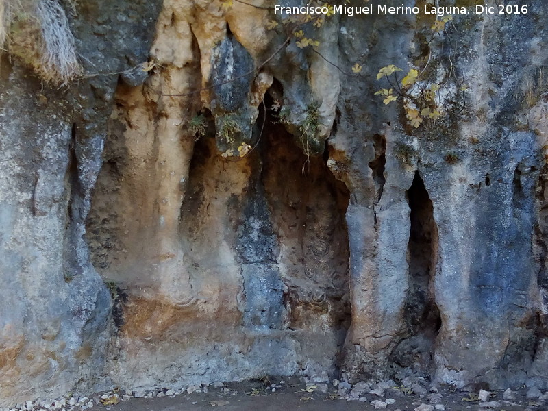 Petroglifos rupestres de El Toril - Petroglifos rupestres de El Toril. Lugar donde se encuentra la mayor densidad de petroglifos