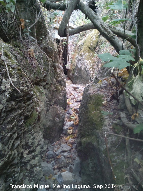 Cueva de los Baos - Cueva de los Baos. Pequeo can que conduce a ella