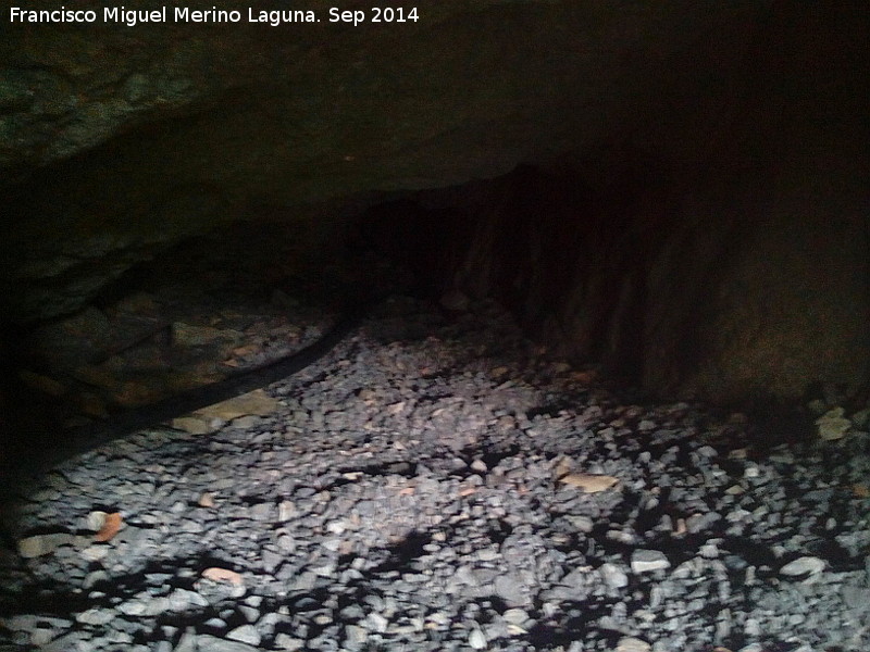 Cueva de los Baos - Cueva de los Baos. Interior