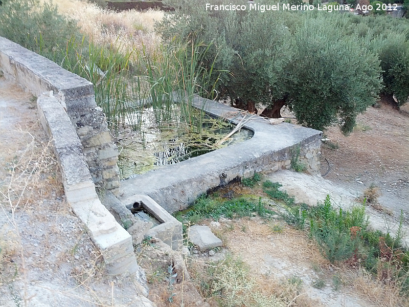 Alberca del Puente Bajo - Alberca del Puente Bajo. 