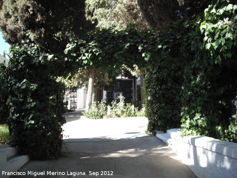 Cementerio Municipal - Cementerio Municipal. Interior