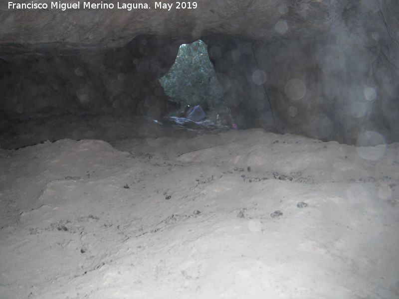 Pinturas rupestres de la Cueva del Canjorro II - Pinturas rupestres de la Cueva del Canjorro II. Cueva