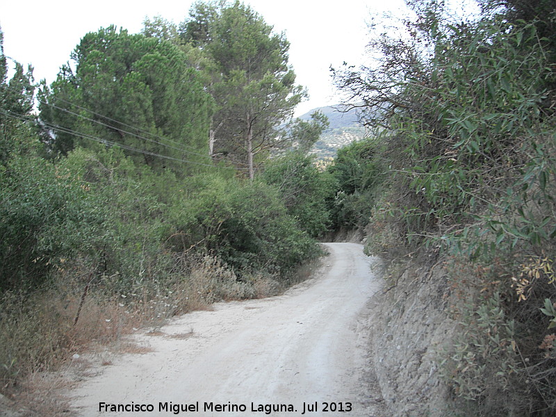 Camino de los Molinos - Camino de los Molinos. 