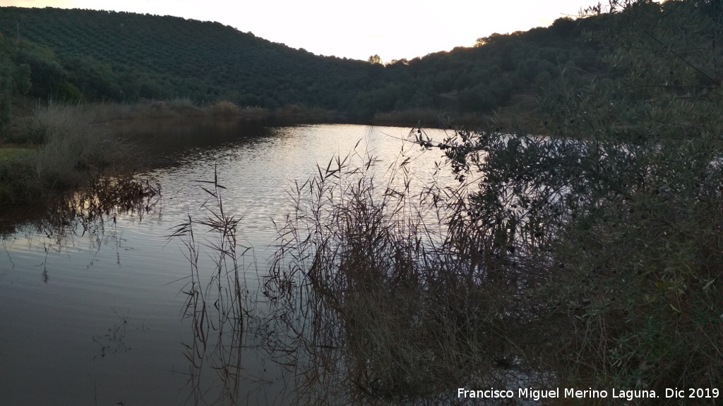 Charca de El Tostadero - Charca de El Tostadero. Atardeciendo