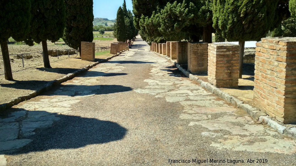 Itlica - Itlica. Calzada que separa la Casa de Neptuno y la Casa de la Exedra