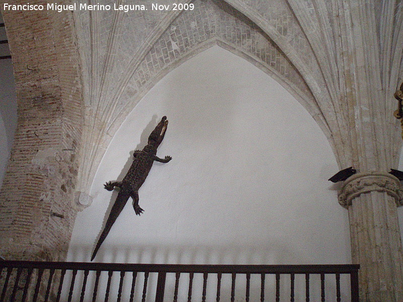 Iglesia de la Asuncin - Iglesia de la Asuncin. Cocodrilo