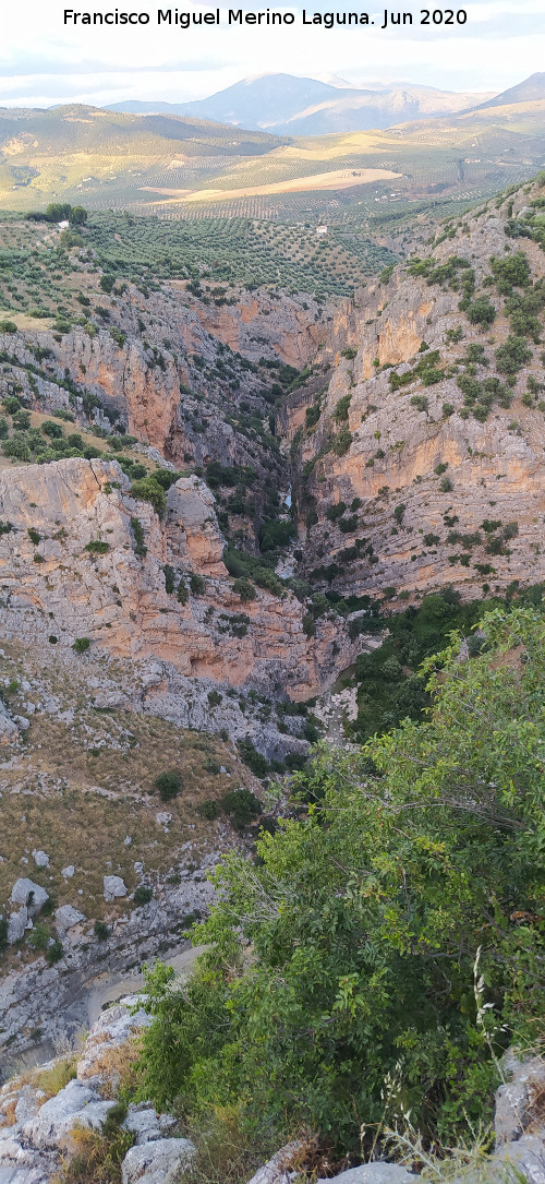 Los Ca�ones - Los Ca�ones. Desde las cercan�as del Abrigo del Almendro