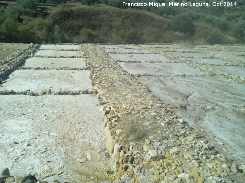 Salinas de San Jos - Salinas de San Jos. 