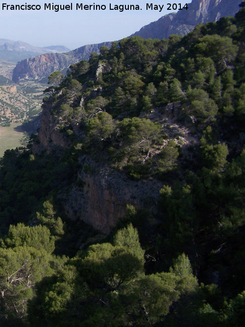 Tejerina - Tejerina. 