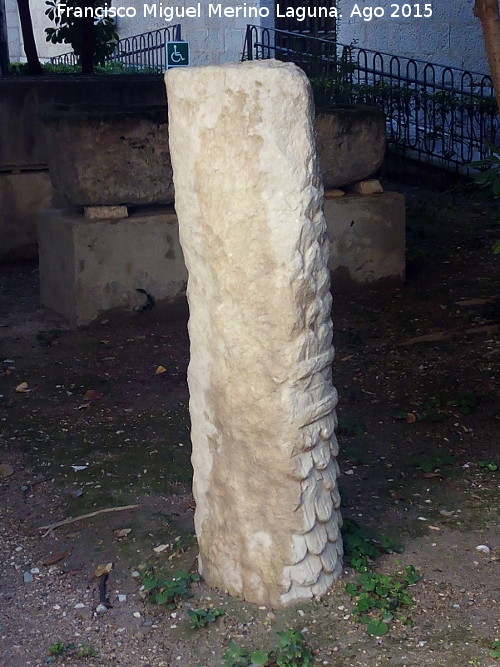 Museo Provincial - Museo Provincial. Columna de tronco de palmera en la lonja