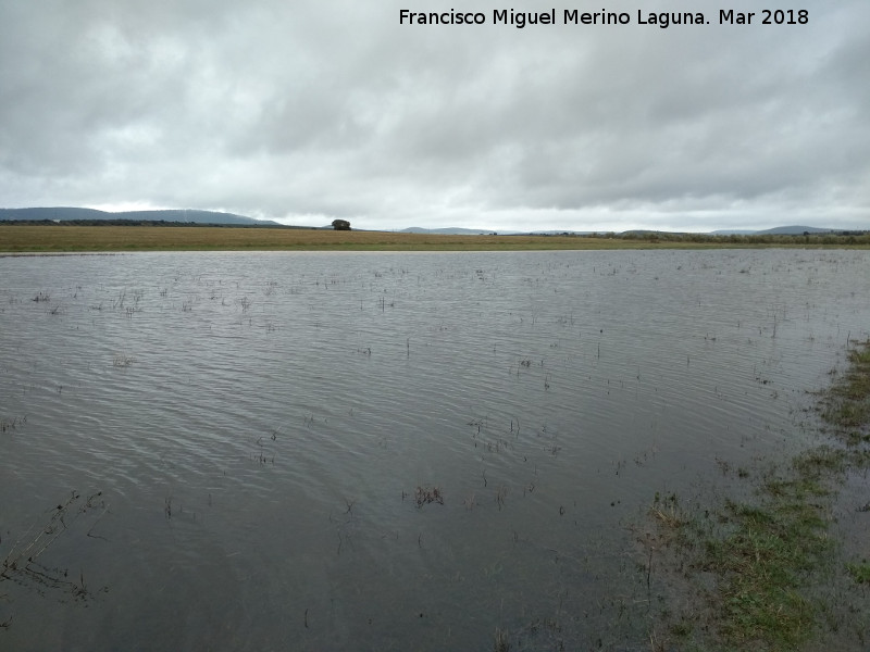 Laguna de los Perales - Laguna de los Perales. 