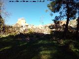 Aldea de Santa Cristina u Otiar. Viviendas de la Calle Jacinto Caada desde el jardn de la Casera de Otiar