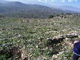 Instalaciones ganaderas islmicas de Peaflor. Habitaciones y aprisco, al fondo la aldea