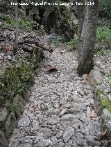 Canal empedrado de la Cueva del Balneario. 
