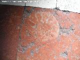 Paseo de la Estacin. Fsil en los mosaicos del Paseo (Ammonitico Rosso)