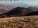 La Pea. Desde el Cerro de Cao Quebrado