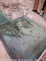 Torreparedones. Santuario Ibero. Suelo original de la entrada a la Cella