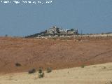 Cortijo de la Torre de Buenavista. 