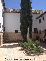 Real Monasterio de Santa Clara. Patio del zagun