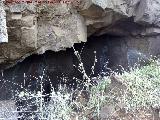 Casas Cueva de la Guarida. 