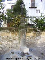 Fuente de la Calle Prior Monteagudo. 