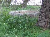 Cortijo de San Antonio. Piedra de molino