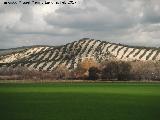 Cerro de la Horca. 