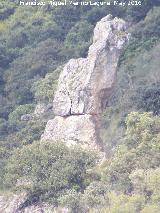 Piedra Virgen del Camello. 