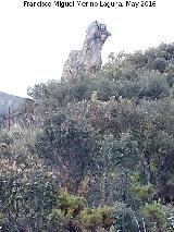 Piedra Virgen del Camello. 