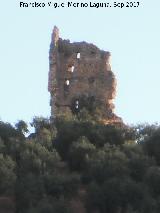 Torre Quebrada. 