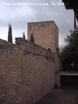 Muralla de Jan. Torren del Conde de Torralba. 