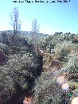 Arroyo del Puerto de los Aceiteros. 