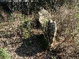 Necrpolis dolmnica del Guadaln. Dolmen?