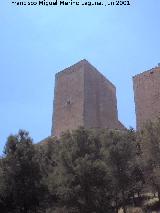 Castillo Nuevo de Santa Catalina. Torre de las Damas. 