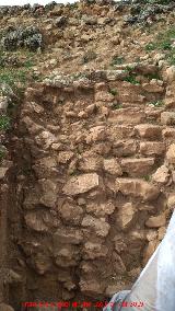 Oppidum de Giribaile. Gran Muralla. Cata arqueolgica