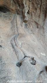 Pinturas rupestres del Abrigo de los Caones IV. Cazoletas