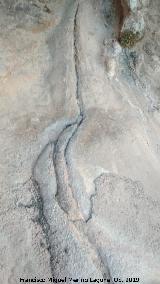 Pinturas rupestres del Abrigo de los Caones IV. Canalizacin