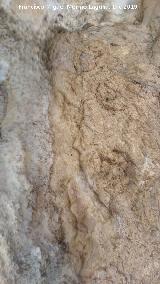 Pinturas rupestres del Abrigo de los Caones IV. Panel