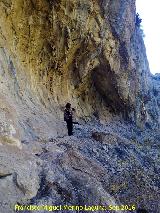 Pinturas rupestres del Abrigo de los Caones IV. 