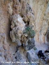 Poyo Bernab. Formacin de piedra del abrigo de la derecha que se asemeja a la cabeza de un dragn