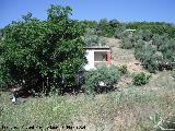 Cortijo de Manolo Slex. 