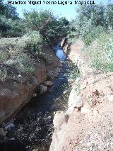 Arroyo de la Alfanja. 