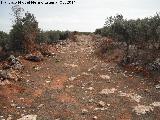 Camino de las Atalayuelas. 