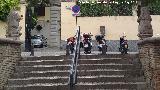 Leones de la Calle Palacios. 